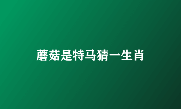 蘑菇是特马猜一生肖
