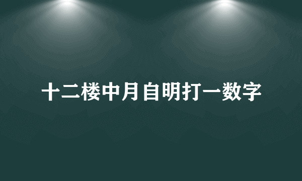 十二楼中月自明打一数字