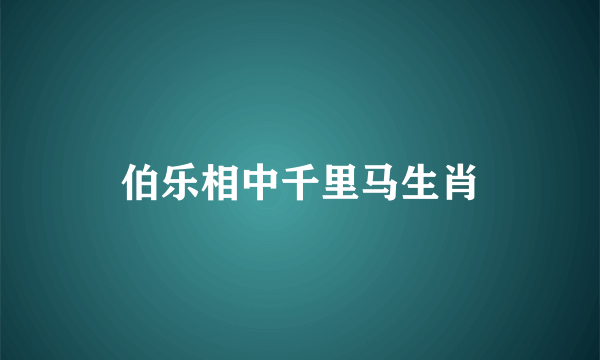 伯乐相中千里马生肖