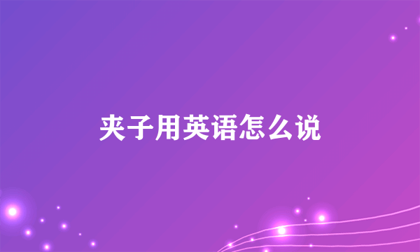 夹子用英语怎么说