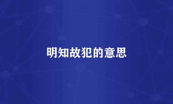 明知故犯的意思