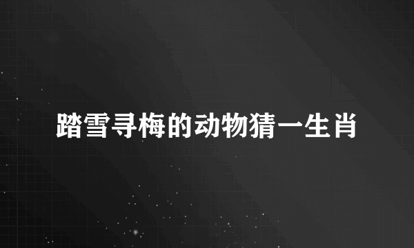 踏雪寻梅的动物猜一生肖