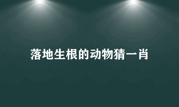 落地生根的动物猜一肖