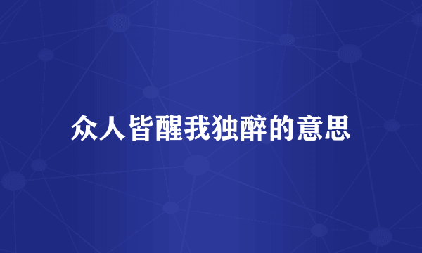 众人皆醒我独醉的意思