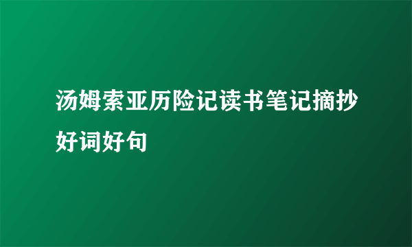 汤姆索亚历险记读书笔记摘抄好词好句