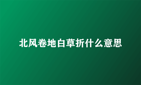 北风卷地白草折什么意思