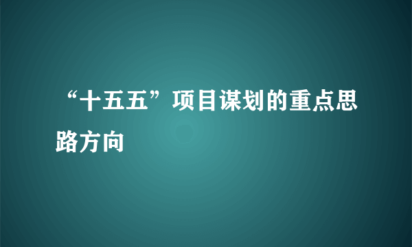 “十五五”项目谋划的重点思路方向