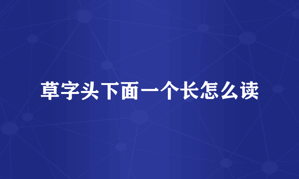 草字头下面一个长怎么读