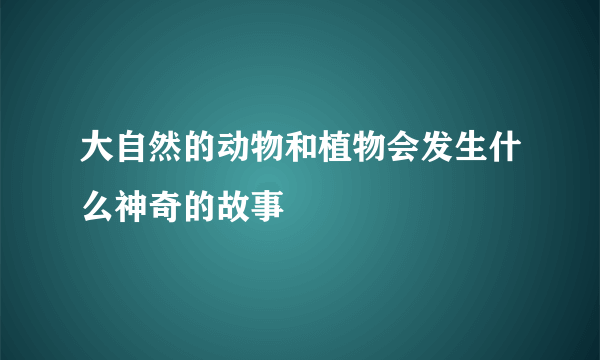 大自然的动物和植物会发生什么神奇的故事