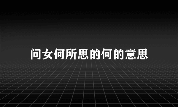 问女何所思的何的意思