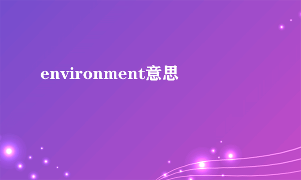 environment意思