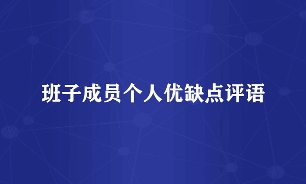 班子成员个人优缺点评语