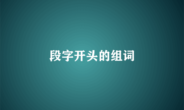 段字开头的组词