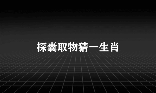 探囊取物猜一生肖