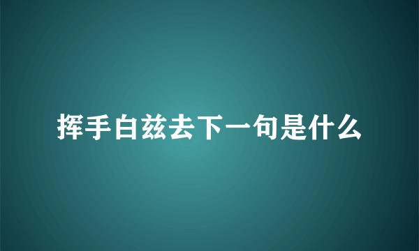 挥手白兹去下一句是什么