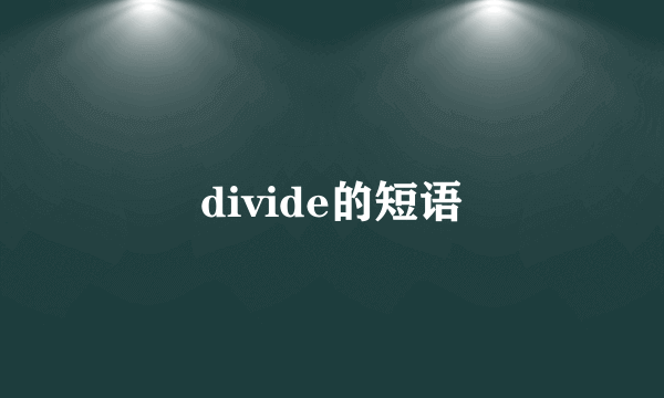 divide的短语