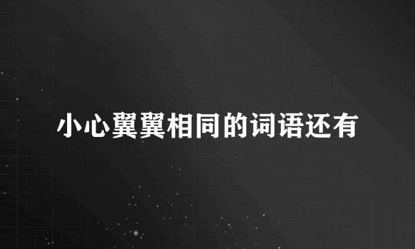 小心翼翼相同的词语还有