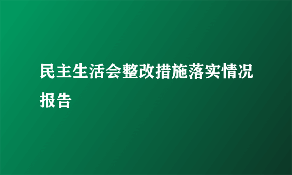 民主生活会整改措施落实情况报告