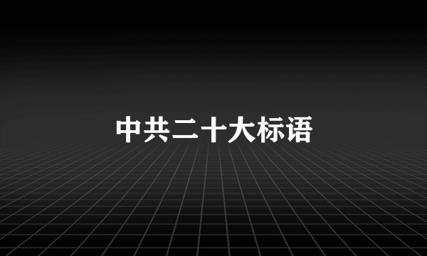 中共二十大标语
