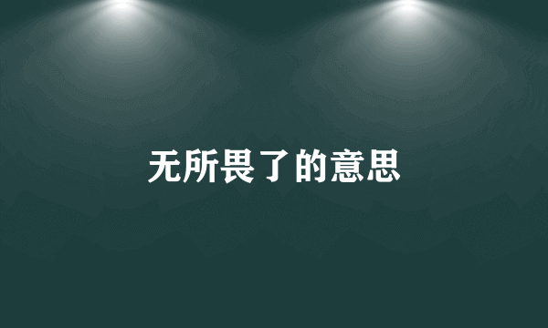 无所畏了的意思
