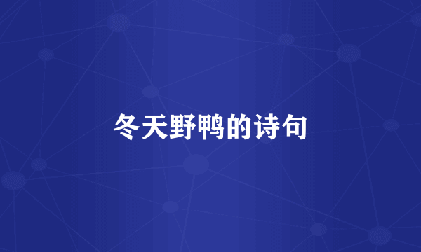 冬天野鸭的诗句