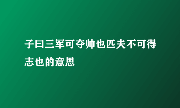 子曰三军可夺帅也匹夫不可得志也的意思