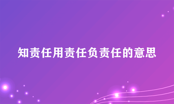 知责任用责任负责任的意思