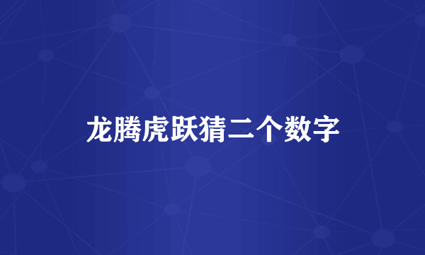龙腾虎跃猜二个数字
