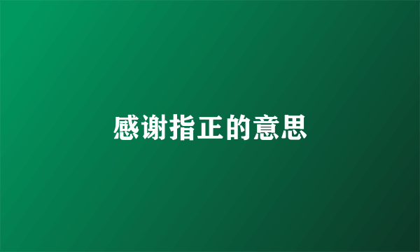 感谢指正的意思