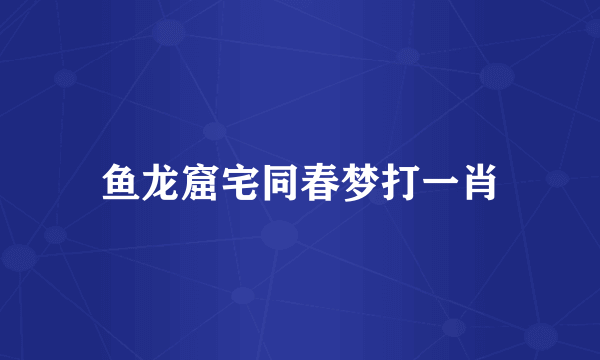 鱼龙窟宅同春梦打一肖