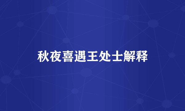 秋夜喜遇王处士解释