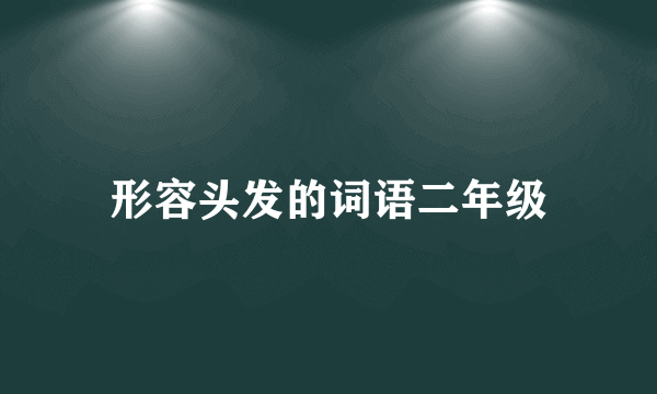 形容头发的词语二年级