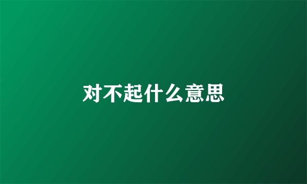 对不起什么意思