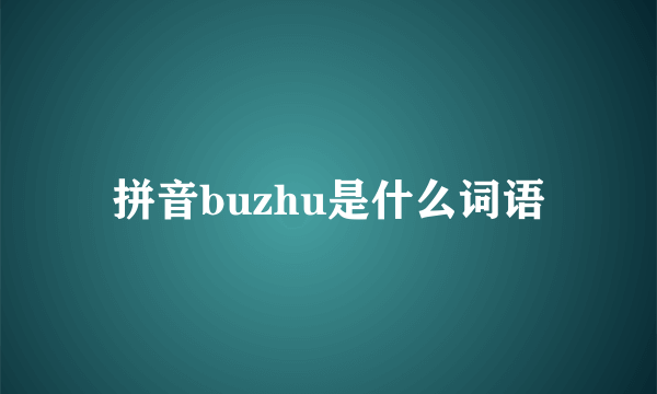 拼音buzhu是什么词语