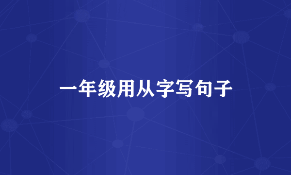 一年级用从字写句子