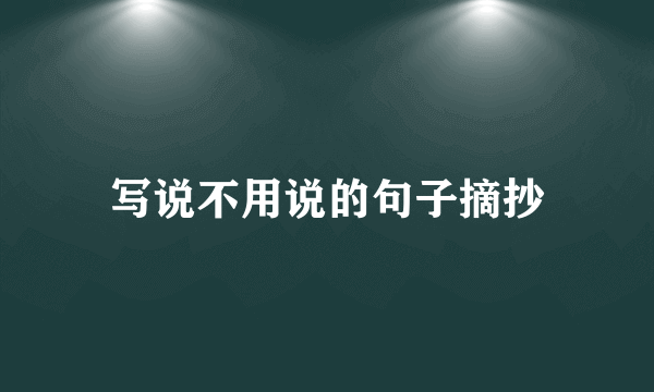 写说不用说的句子摘抄