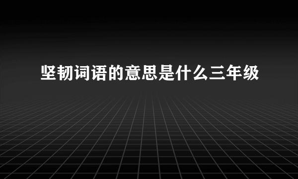 坚韧词语的意思是什么三年级