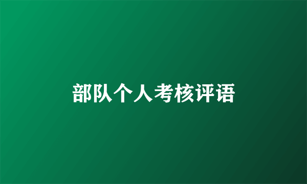 部队个人考核评语