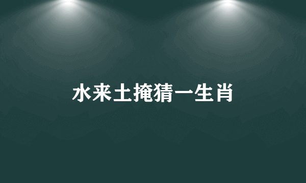 水来土掩猜一生肖