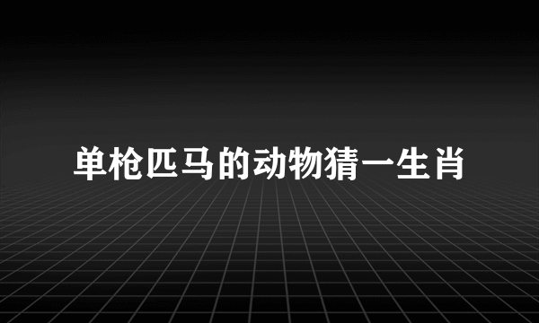 单枪匹马的动物猜一生肖