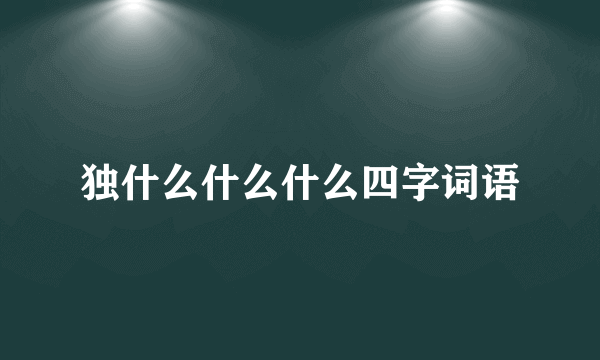 独什么什么什么四字词语