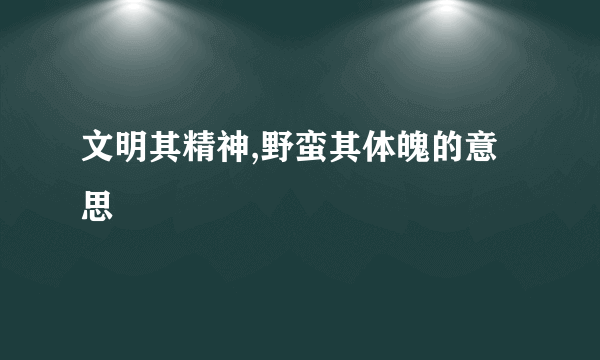 文明其精神,野蛮其体魄的意思