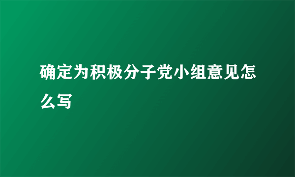 确定为积极分子党小组意见怎么写