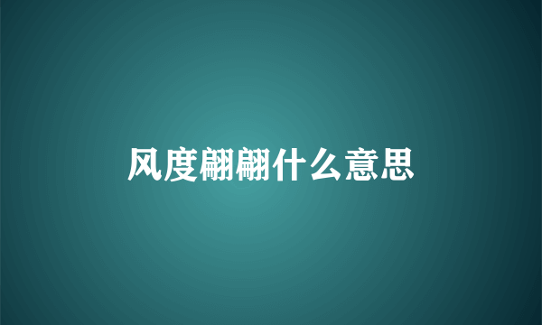 风度翩翩什么意思