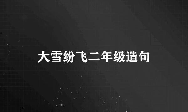 大雪纷飞二年级造句