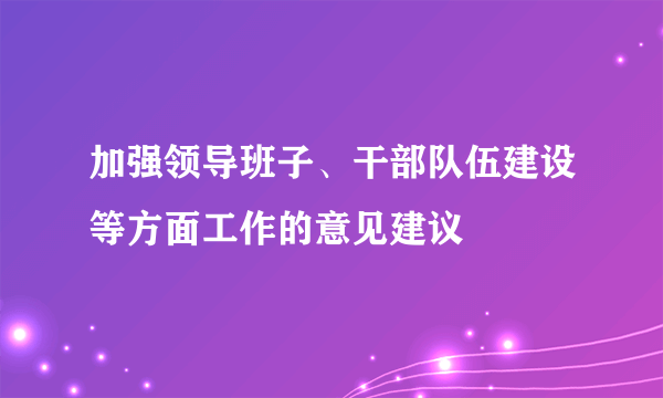加强领导班子、干部队伍建设等方面工作的意见建议