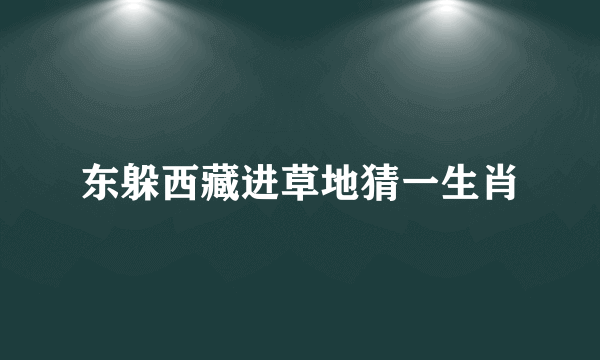 东躲西藏进草地猜一生肖
