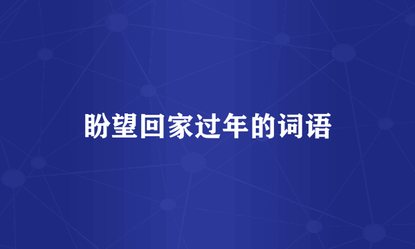 盼望回家过年的词语
