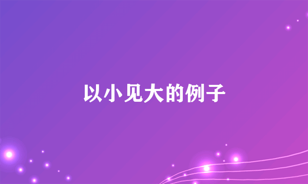 以小见大的例子