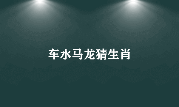车水马龙猜生肖